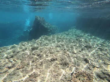 武藤潜水に投稿された画像（2023/4/29）