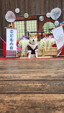 わんダフルネイチャーヴィレッジに投稿された画像（2023/4/29）