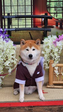 わんダフルネイチャーヴィレッジに投稿された画像（2023/4/29）