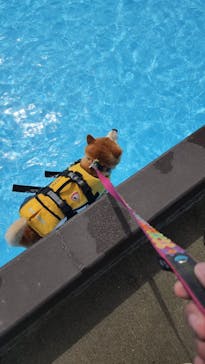 わんダフルネイチャーヴィレッジに投稿された画像（2023/4/29）