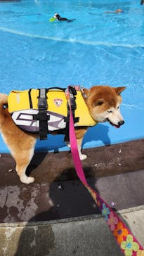 わんダフルネイチャーヴィレッジに投稿された画像（2023/4/29）