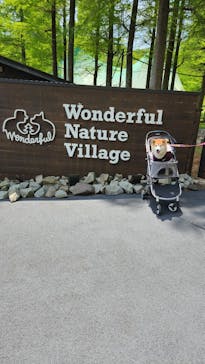 わんダフルネイチャーヴィレッジに投稿された画像（2023/4/29）