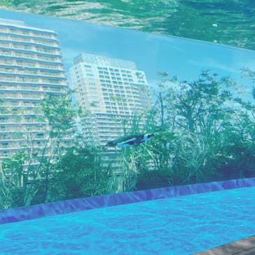 サンシャイン水族館に投稿された画像（2023/4/29）