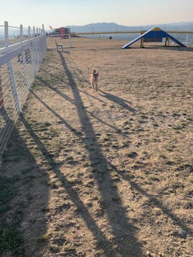 ワールド牧場に投稿された画像（2023/4/29）