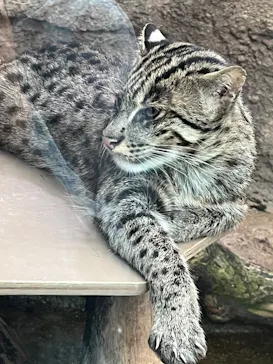 神戸どうぶつ王国に投稿された画像（2023/4/29）