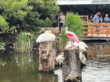 神戸どうぶつ王国に投稿された画像（2023/4/29）