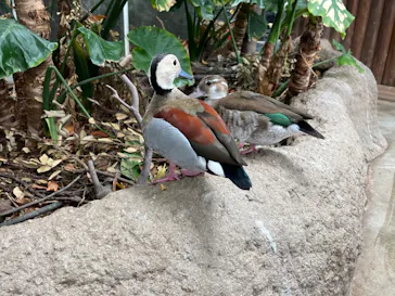 神戸どうぶつ王国に投稿された画像（2023/4/29）