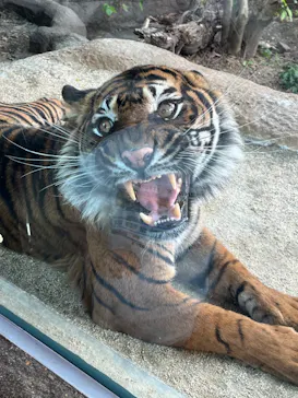神戸どうぶつ王国に投稿された画像（2023/4/29）