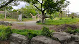 天王寺動物園に投稿された画像（2023/4/29）