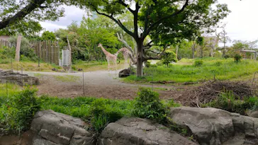 天王寺動物園に投稿された画像（2023/4/29）
