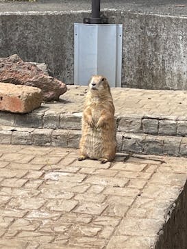 伊豆シャボテン動物公園に投稿された画像（2023/4/29）