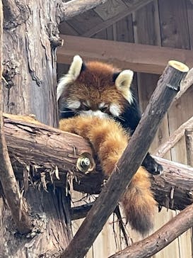伊豆シャボテン動物公園に投稿された画像（2023/4/29）