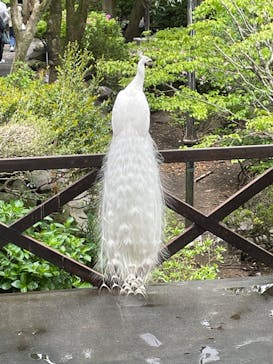 伊豆シャボテン動物公園に投稿された画像（2023/4/29）