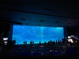 沖縄美ら海水族館に投稿された画像（2023/4/29）
