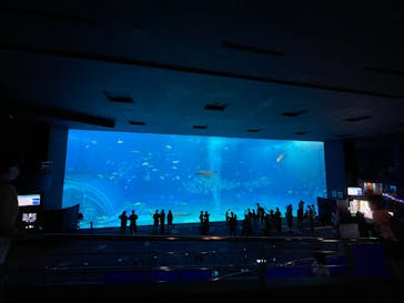 沖縄美ら海水族館に投稿された画像（2023/4/29）