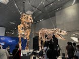 特別展「恐竜博2023」に投稿された画像（2023/4/29）