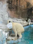 天王寺動物園に投稿された画像（2023/4/29）