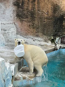 天王寺動物園に投稿された画像（2023/4/29）