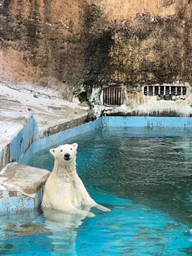 天王寺動物園に投稿された画像（2023/4/29）