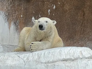 天王寺動物園に投稿された画像（2023/4/29）