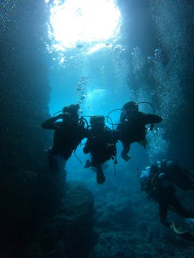 沖縄マリンサービス碧に投稿された画像（2023/4/29）