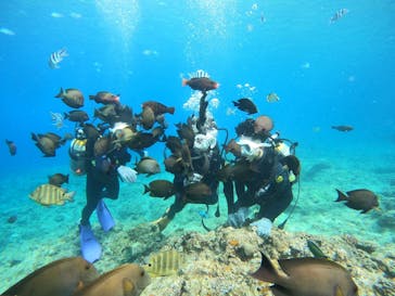 沖縄マリンサービス碧に投稿された画像（2023/4/29）