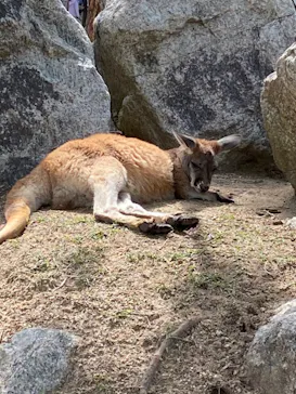 神戸どうぶつ王国に投稿された画像（2023/4/29）