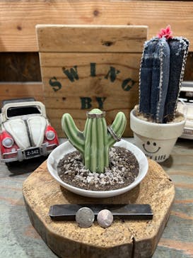 SWING BY（スウィング バイ）に投稿された画像（2023/4/29）