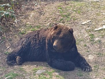 サホロリゾート　ベア･マウンテンに投稿された画像（2023/4/29）
