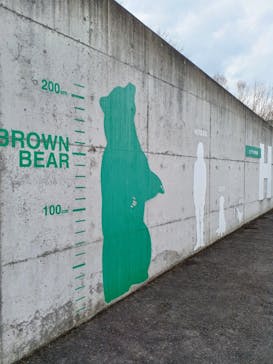 サホロリゾート　ベア･マウンテンに投稿された画像（2023/4/29）