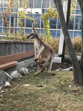 神戸どうぶつ王国に投稿された画像（2023/4/29）
