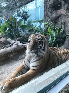 神戸どうぶつ王国に投稿された画像（2023/4/29）