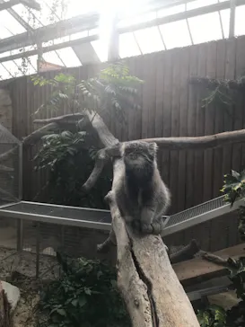 神戸どうぶつ王国に投稿された画像（2023/4/29）