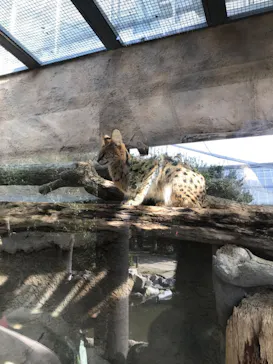 神戸どうぶつ王国に投稿された画像（2023/4/29）