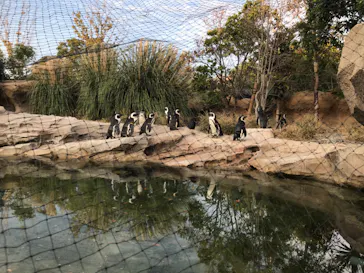 神戸どうぶつ王国に投稿された画像（2023/4/29）