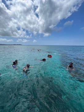 西表島 ADVENTURE PiPi（アドベンチャーピピ）に投稿された画像（2023/4/29）