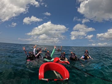 西表島 ADVENTURE PiPi（アドベンチャーピピ）に投稿された画像（2023/4/29）