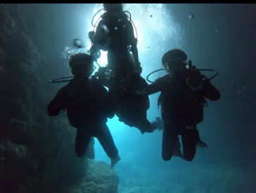 武藤潜水に投稿された画像（2023/4/29）