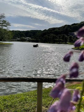 三溪園に投稿された画像（2023/4/29）