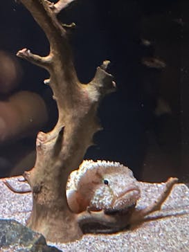 環境水族館アクアマリンふくしまに投稿された画像（2023/4/29）