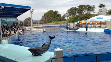 越前松島水族館に投稿された画像（2023/4/29）