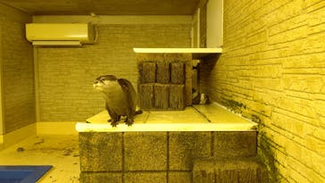 越前松島水族館に投稿された画像（2023/4/29）