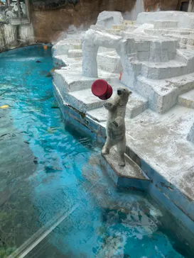 天王寺動物園に投稿された画像（2023/4/29）