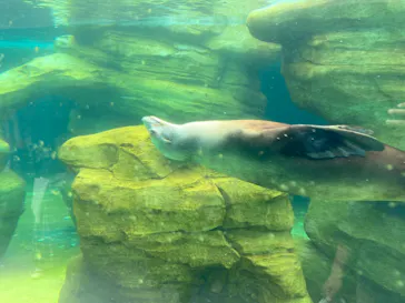 天王寺動物園に投稿された画像（2023/4/29）