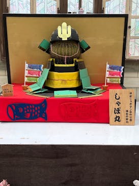 伊豆シャボテン動物公園に投稿された画像（2023/4/29）