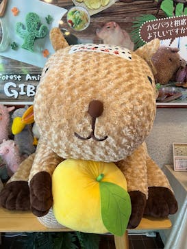 伊豆シャボテン動物公園に投稿された画像（2023/4/29）