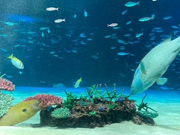 サンシャイン水族館に投稿された画像（2023/4/29）