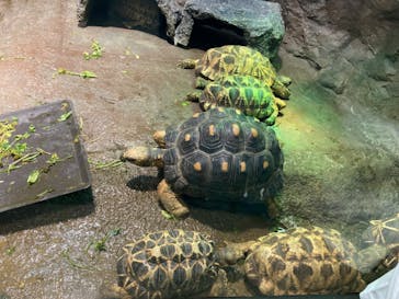 サンシャイン水族館に投稿された画像（2023/4/29）