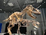特別展「恐竜博2023」に投稿された画像（2023/4/29）