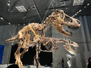 特別展「恐竜博2023」に投稿された画像（2023/4/29）